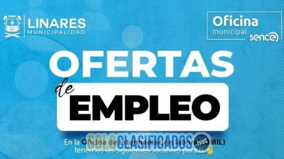 Solo Clasificados - Vacantes sin experiencia en la cikudad de Cali - imagen: 1