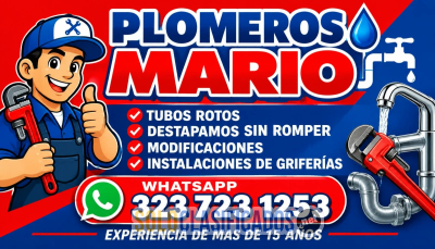 Solo Clasificados - PLOMEROS 323 723 1253 COLINA CAMPESTRE  Y MAZUREN BOGOTA DC - imagen: 1