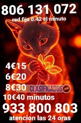 Solo Clasificados - tirada de cartas tarot telefónico y videncia pura   806002149  y 932424782  red fija 042 el minuto - imagen: 1