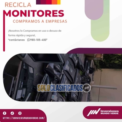 Solo Clasificados - ¡Reciclaje + Acción = Éxito con mundo verde! - imagen: 3