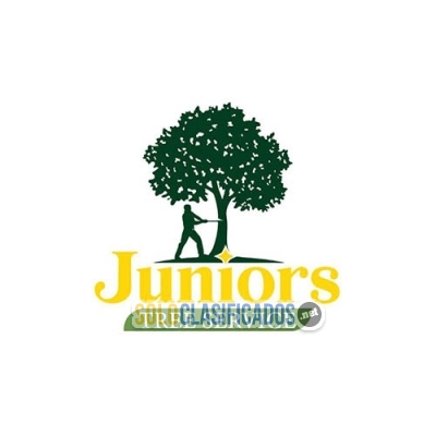 Juniors                    Tree services... 