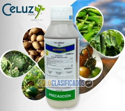 Solo Clasificados - MOVENTO 150 OD (producto para el campo) - imagen: 1