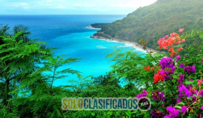 Solo Clasificados - Invertir Y Tener Rentabilidad Leer Mas!! (Toda La Republica Dominicana) - imagen: 11