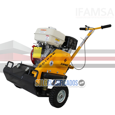 Solo Clasificados - PLACA VIBRATORIA CIPSA EN IFAMSA - imagen: 1