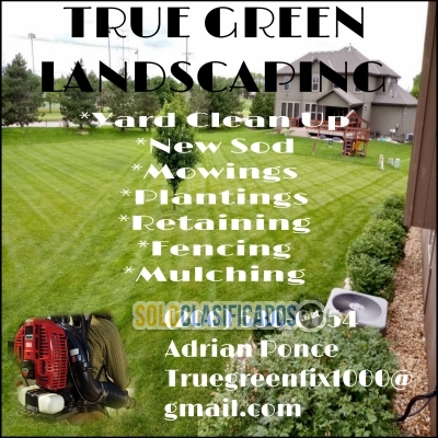 TRUE GREEN LANDSCAPING YARD CLEAN UP!!!!... 