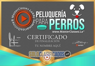 Curso para embellecer a tu mascota y otras cosas... 