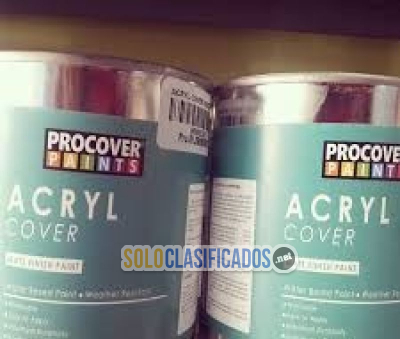 Solo Clasificados - Cambia La Fachada En Navidad!! (Venta de Pinturas) - imagen: 5