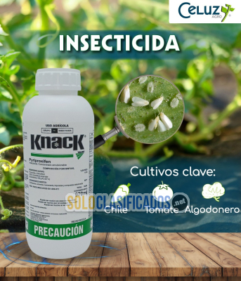Solo Clasificados - KNACK (producto para el campo) - imagen: 1