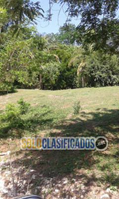 Solo Clasificados - Propiedad en Venta en Matapalo de Quepos - imagen: 1