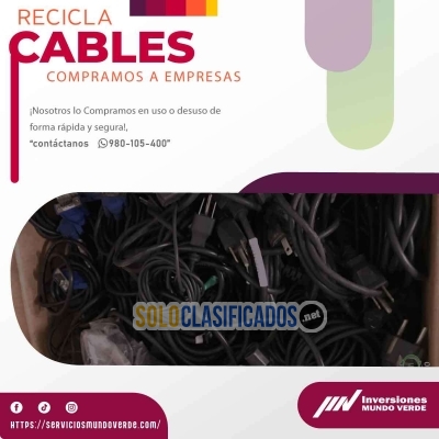 Solo Clasificados - ¡RECICLA GANA Y SONRÍE CON MUNDO VERDE! - imagen: 2