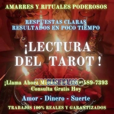 Tarot Amarres Rituales y Dominios USA Consulta Ahora... 
