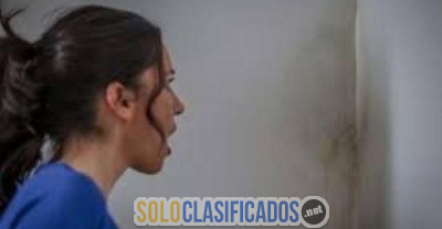 Solo Clasificados - Filtrando Lloviendo Y Nosotros Resolviendo!! (Todo el pais ) - imagen: 1