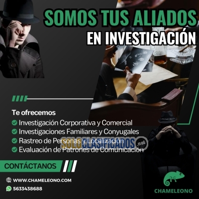 Chameleono Expertos en Investigación Privada y Protección... 