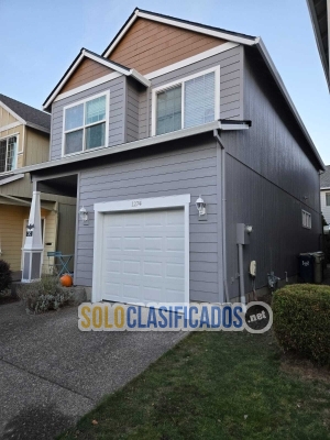 Solo Clasificados - Concrete and Painting - imagen: 16