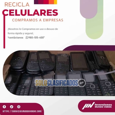 Solo Clasificados - ¡RECICLA GANA Y SONRÍE CON MUNDO VERDE! - imagen: 5