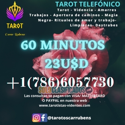 EL MEJOR TAROT LAS 24 HS... 