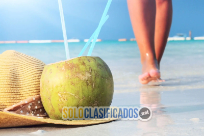 Solo Clasificados - Ya Tienes Tu Ticket Para Viajar A Republica Dominicana? - imagen: 1