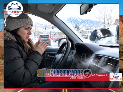 Solo Clasificados - Car Heater Blowing Cold Air at Idle? Causes & Repair in Utah - imagen: 1