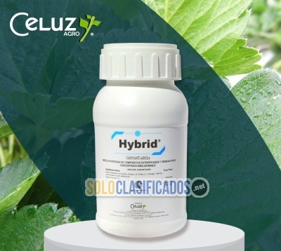 HYBRID (producto para el campo)... 