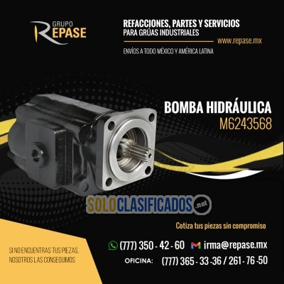 BOMBA HIDRÁULICA PARA GRÚAS INDUSTRIALES M6243568... 