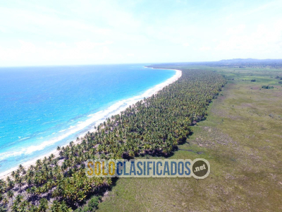 Solo Clasificados - Si Planeas Viajar A Rd Leer Completo (Porpiedades en Rd) - imagen: 27