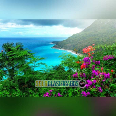 Solo Clasificados - Ya Tienes Tu Ticket Para Viajar A Republica Dominicana? - imagen: 16