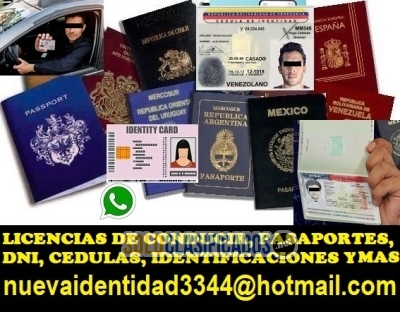 DNI PASAPORTES LICENCIAS DE CONDUCIR EN LINEA... 