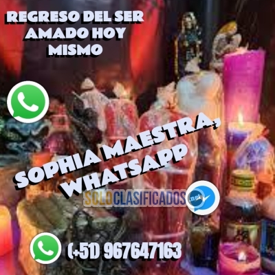 REGRESO DEL SER AMADO HOY MISMO  SOPHIA MAESTRA WHATSAPP... 