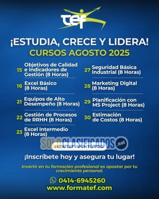 Tecnología Educación y Formación (TEF FALCON)... 