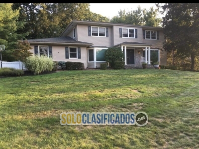 Solo Clasificados - A&P Painting and More LLC - imagen: 5