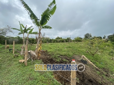 Gran Inversión  Se Vende Finca para explotación Agrícola y Turíst... 