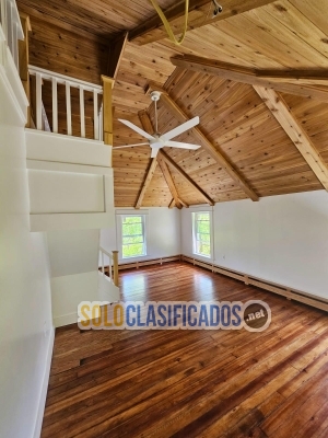 Solo Clasificados - A&P Painting and More LLC - imagen: 20