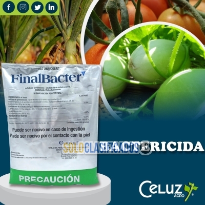 FINAL BACTER (producto para el campo)... 