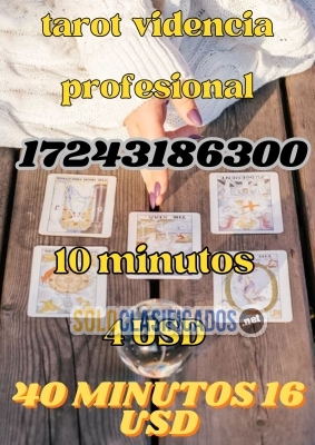 Excelente consulta de tarot con detalles... 