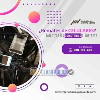 Solo Clasificados - Reciclaje corporativo eficiente y con valor agregado - imagen: 4