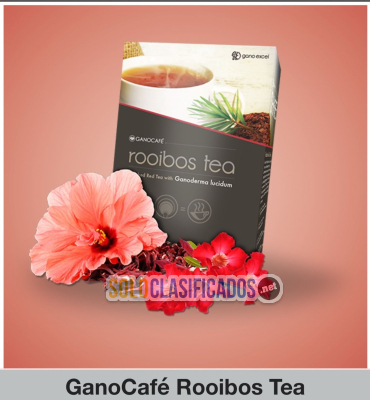 Gano Café Rooibos Tea  Poderosa bebida antioxidante mejora y aume...