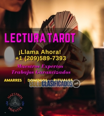 Tarot Dominios y Amarres Reales Consulta Gratis... 