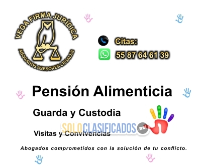 PENSIÓN ALIMENTICIA  55 87 64 61 39  GUARDA Y CUSTODIA... 