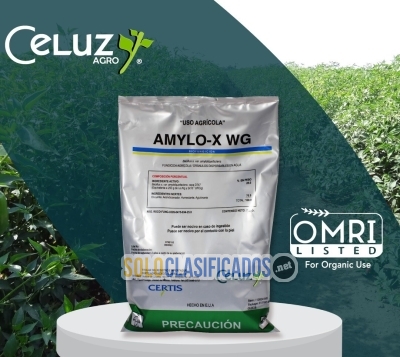AMYLOX WG (fungicida/producto para el campo)... 