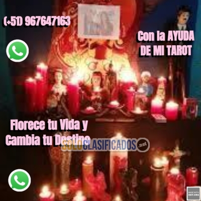 FLORECE TU VIDA Y CAMBIA TU DESTINO CON LA AYUDA DE MI TAROT... 