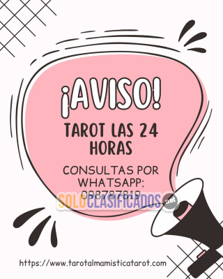 Solo Clasificados - Transformación Real para tu Presente 09001097 Tarot 24 horas - imagen: 3