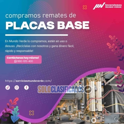 Solo Clasificados - “Tu basura: nuestro tesoro verde” - imagen: 8