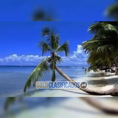 Solo Clasificados - Compra Un Apartamento En La Playa, Cuando Viajes A Rd! - imagen: 25