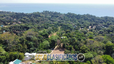 Solo Clasificados - Propiedad en Venta en Playa Hermosa OSA Puntarenas - imagen: 2