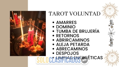 LECTURA DE TAROT VOLUNTAD Y RITUALES BARATOS... 