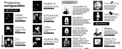 Solo Clasificados - Venta de Café Ganoderma lucidum al Mayor - imagen: 2