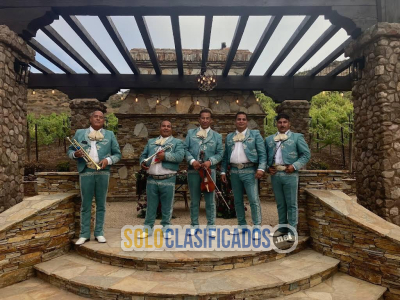 Solo Clasificados - Mariachi Los Potrillos en Los Angeles CA - imagen: 1