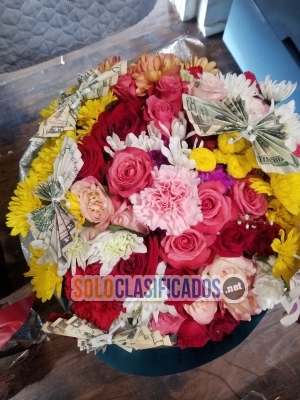 Solo Clasificados - Queen Detalles - imagen: 6