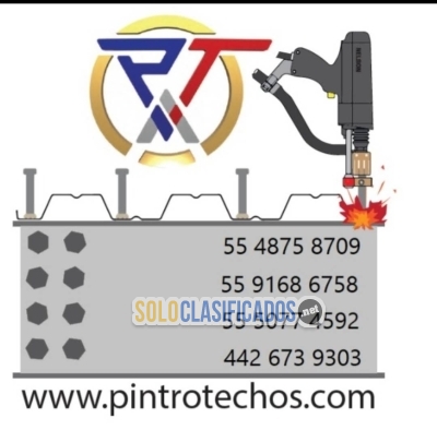 Solo Clasificados - Perneadora nelson 6000 en renta en Querétaro - imagen: 6