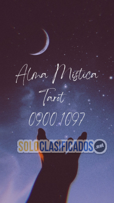 Solo Clasificados - Tarot 09001097: Tu Aliado en la Toma de Decisiones 24hrs - imagen: 4